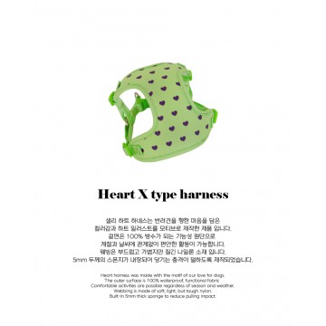 韓國Globalsallys- Heart X type harness (Green)胸背帶